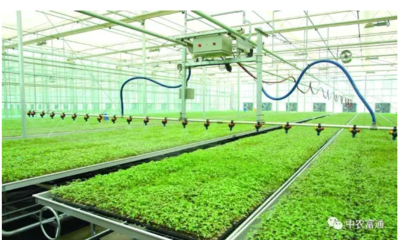 農業科技園區的一面旗幟——孫橋現代農業園區食用農產品的創新之路