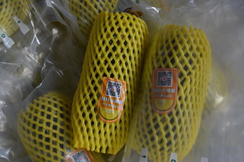 全市農(nóng)產(chǎn)品質(zhì)量安全暨食用農(nóng)產(chǎn)品合格證推進(jìn)現(xiàn)場(chǎng)會(huì)在桃園鎮(zhèn)召開